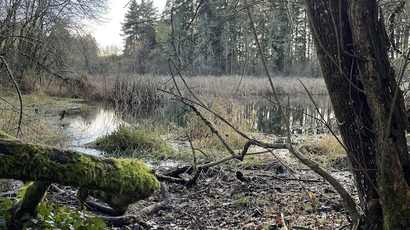 Lake Lois Trailhead - Lacey, WA