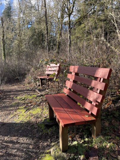Lake Lois Trailhead - Lacey, WA