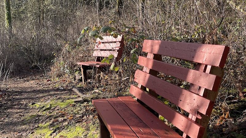 Lake Lois Trailhead - Lacey, WA
