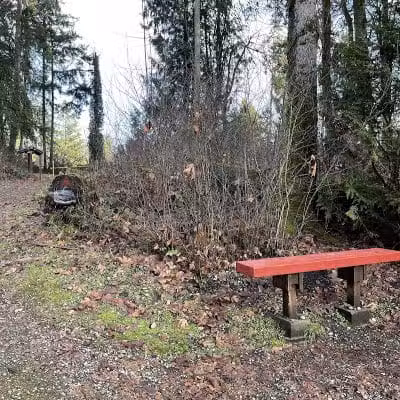 Lake Lois Trailhead - Lacey, WA