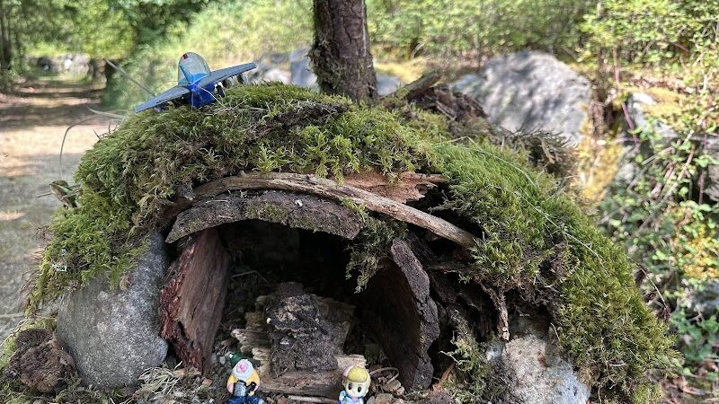 Lake Lois Trailhead - Lacey, WA