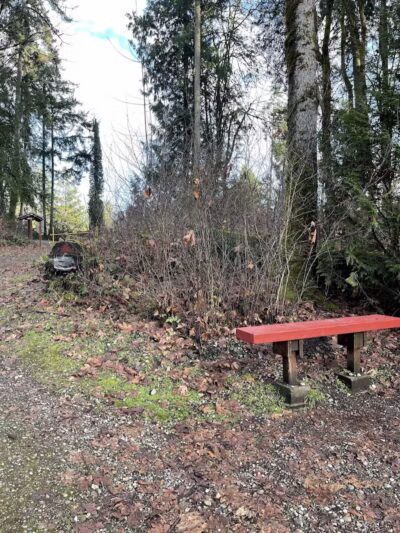 Lake Lois Trailhead - Lacey, WA