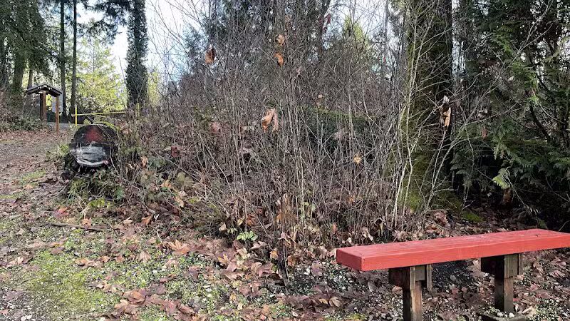 Lake Lois Trailhead - Lacey, WA