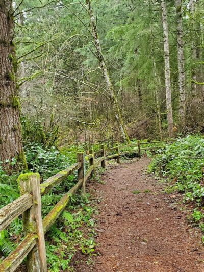 Mullen Road Habitat Reserve - Lacey, WA
