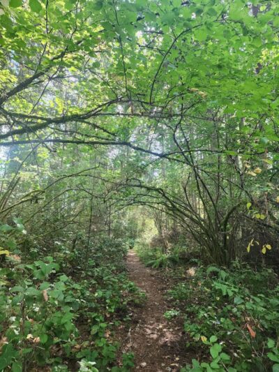 Mullen Road Habitat Reserve - Lacey, WA