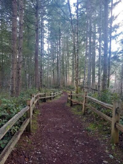 Mullen Road Habitat Reserve - Lacey, WA