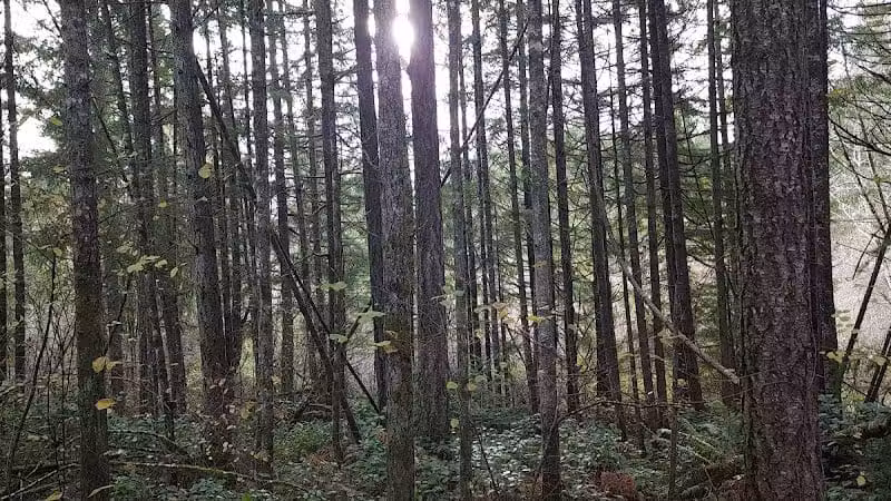 Mullen Road Habitat Reserve - Lacey, WA
