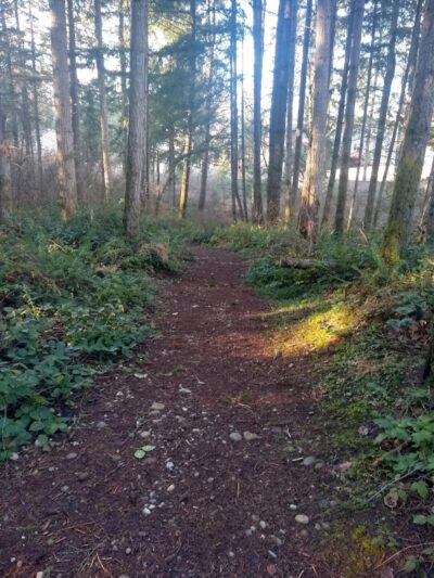 Mullen Road Habitat Reserve - Lacey, WA