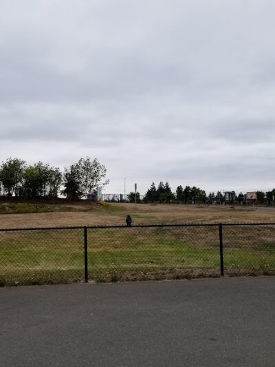 Thurston County Off-Leash Dog Park