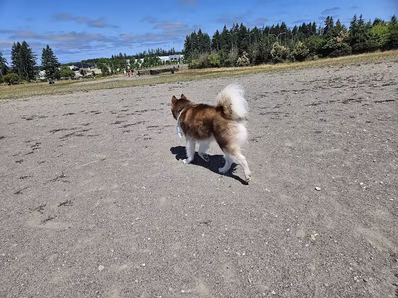 Thurston County Off-Leash Dog Park