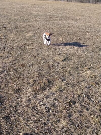 Lacon Park District - Lacon, IL