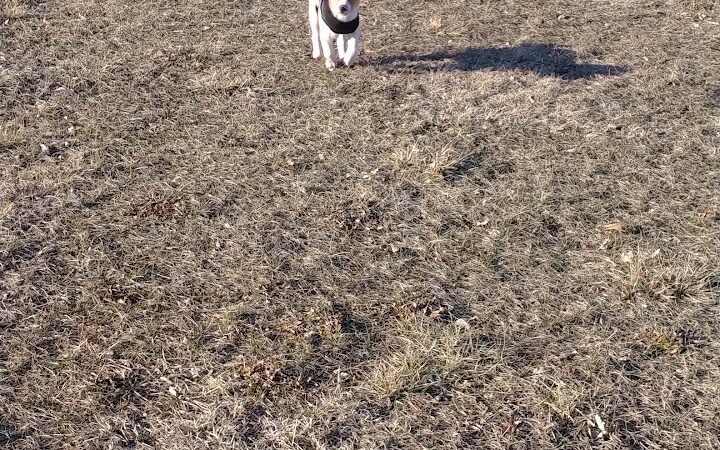 Lacon Park District - Lacon, IL