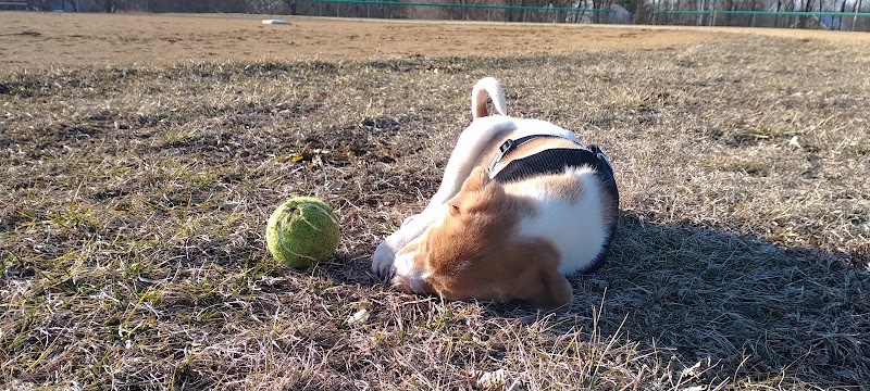 Lacon Park District - Lacon, IL