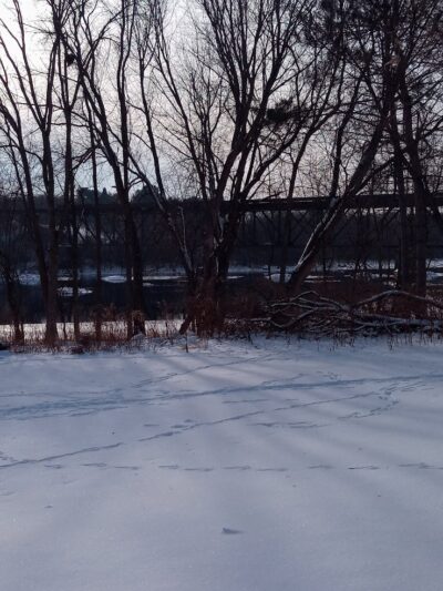 Ladysmith Leash-Free Dog Park - Ladysmith, WI