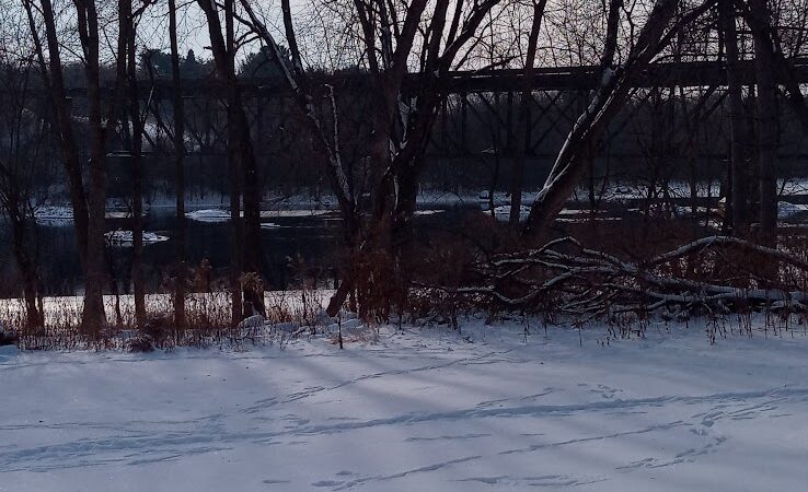 Ladysmith Leash-Free Dog Park - Ladysmith, WI