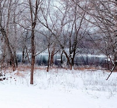 Ladysmith Leash-Free Dog Park - Ladysmith, WI