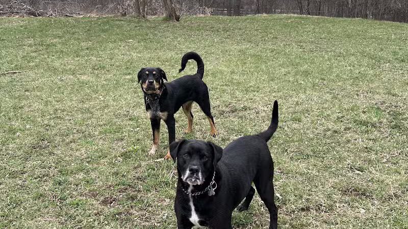 Ladysmith Leash-Free Dog Park - Ladysmith, WI