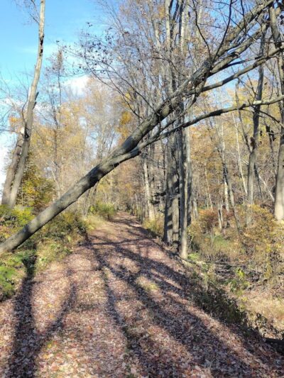 Sussex Branch Trail Parking - Lafayette Township, NJ