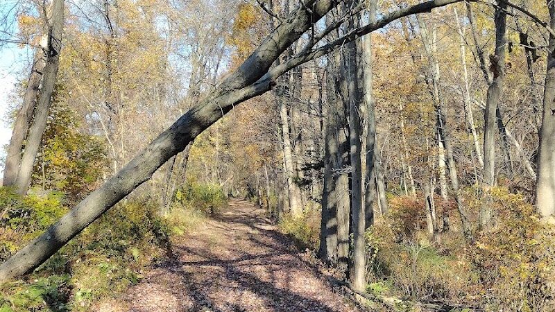 Sussex Branch Trail Parking - Lafayette Township, NJ