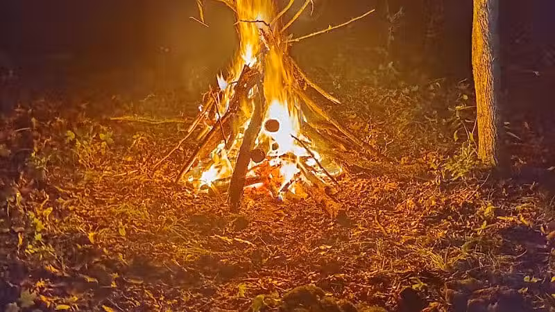 Sussex Branch Trail Parking - Lafayette Township, NJ