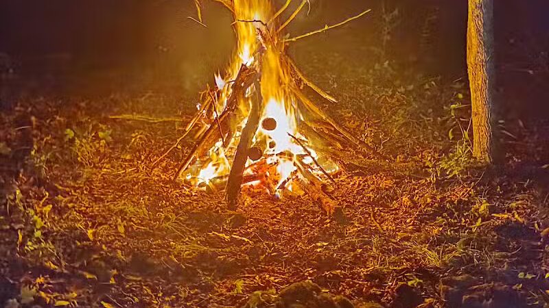 Sussex Branch Trail Parking - Lafayette Township, NJ
