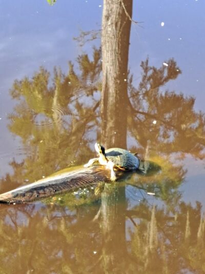 Lake City Park - Lake City, SC