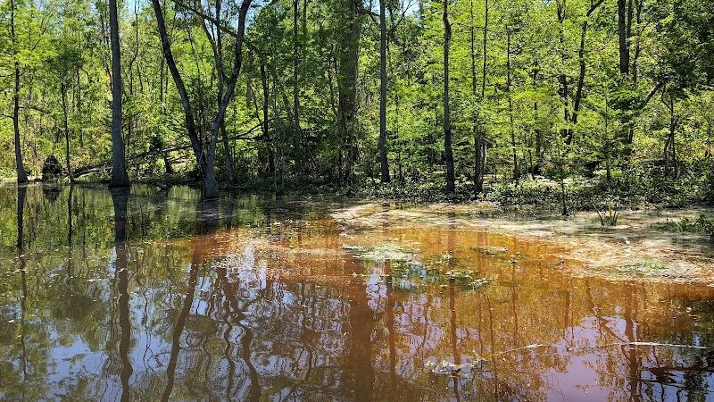 Lake City Park - Lake City, SC