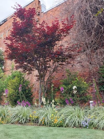 Theatre Park - Lake City, SC