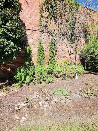 Theatre Park - Lake City, SC