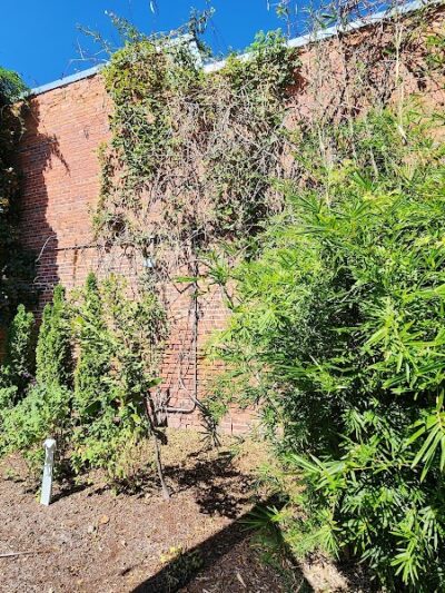 Theatre Park - Lake City, SC