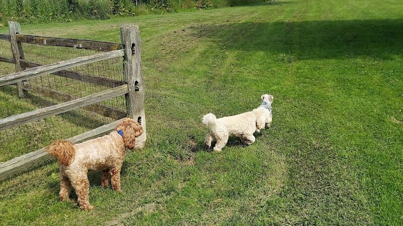 Prairie Wolf Off-Leash Dog Area - Lake Forest, IL