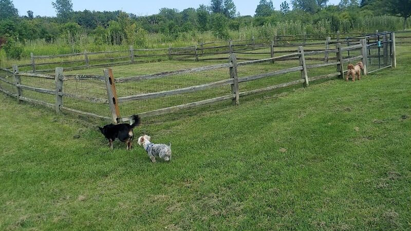 Prairie Wolf Off-Leash Dog Area - Lake Forest, IL