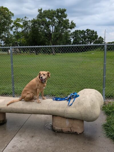White River Dog Park - Lake Geneva, WI