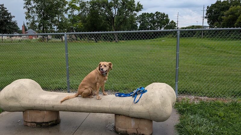 White River Dog Park - Lake Geneva, WI