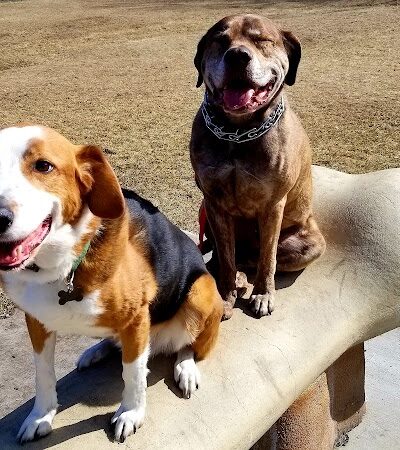 White River Dog Park - Lake Geneva, WI