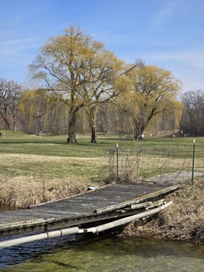 White River Dog Park - Lake Geneva, WI