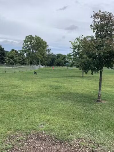 White River Dog Park - Lake Geneva, WI