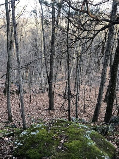 Minisink County Park - Lake Hopatcong, NJ
