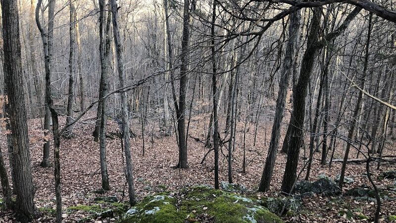 Minisink County Park - Lake Hopatcong, NJ