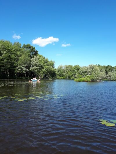 Minisink County Park - Lake Hopatcong, NJ