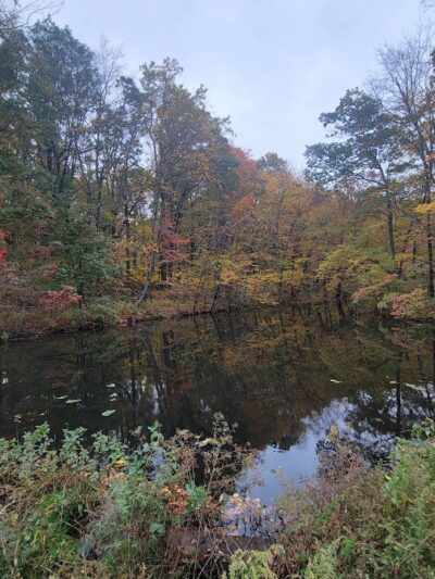 Minisink County Park - Lake Hopatcong, NJ