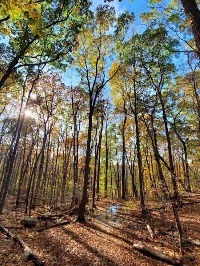 Rockaway River State Wildlife Management Area - Lake Hopatcong, NJ