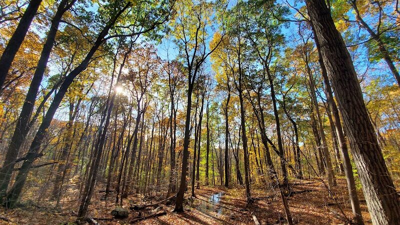 Rockaway River State Wildlife Management Area - Lake Hopatcong, NJ