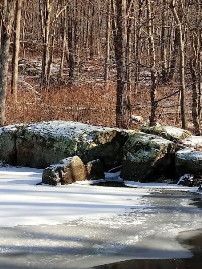 Rockaway River State Wildlife Management Area - Lake Hopatcong, NJ