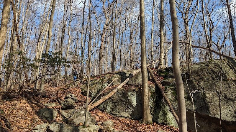 Rockaway River State Wildlife Management Area - Lake Hopatcong, NJ