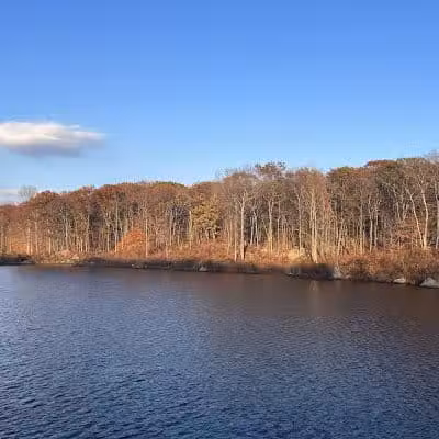 Rockaway River State Wildlife Management Area - Lake Hopatcong, NJ