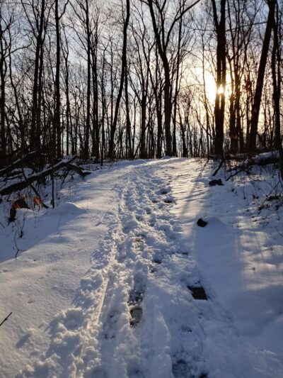 Rockaway River State Wildlife Management Area - Lake Hopatcong, NJ