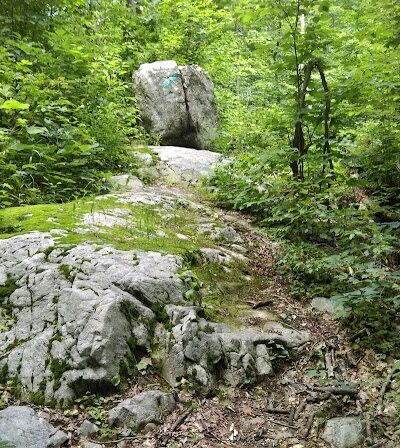 Rockaway River State Wildlife Management Area - Lake Hopatcong, NJ