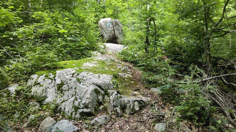 Rockaway River State Wildlife Management Area - Lake Hopatcong, NJ