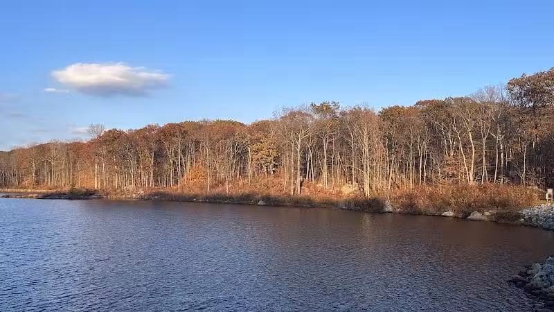 Rockaway River State Wildlife Management Area - Lake Hopatcong, NJ